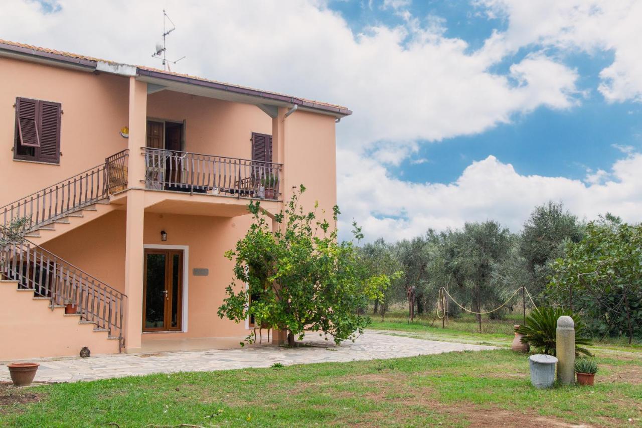 Villa Orta - Agriturismo Con Cucina Vegan, Plant-Based Farmhouse Riotorto Exterior foto